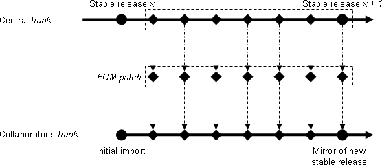 Figure 4: mirroring the trunk at the collaborator's site